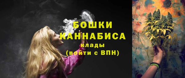 соль ск Гусев