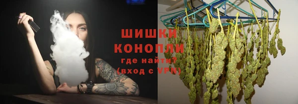 соль ск Гусев