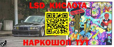спиды Донской