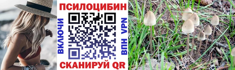 ссылка на мегу   Нурлат  Псилоцибиновые грибы Cubensis 