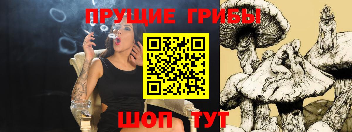 Галлюциногенные грибы прущие грибы  Псилоцибиновые грибы Psilocybe  Нурлат 