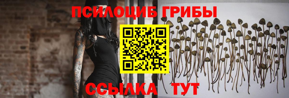Псилоцибиновые грибы мухоморы  Вход с VPN  купить   Нурлат 