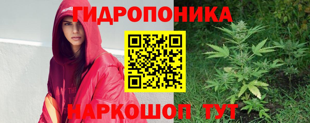 Конопля LSD WEED  Канабис сатива  Конопля White Widow  Нурлат 